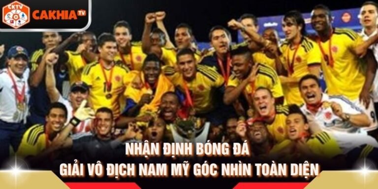 Nhận Định Bóng Đá Giải Vô Địch Nam Mỹ Góc Nhìn Toàn Diện